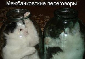 Жидкость говорит