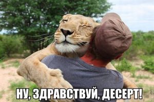 А где ужин