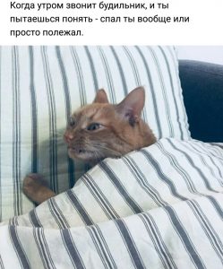Когда лёг спать днём