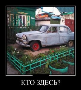Я тебя вижу