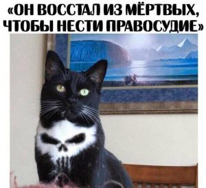 В нём много сил