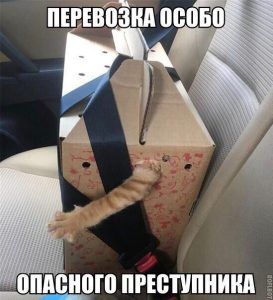 Он пытается вырваться