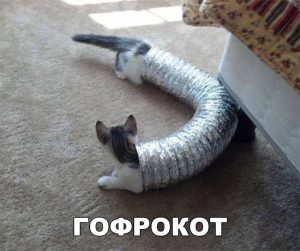 Сильно длинный