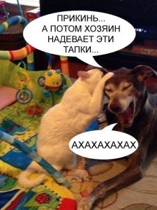 Мина-ловушка