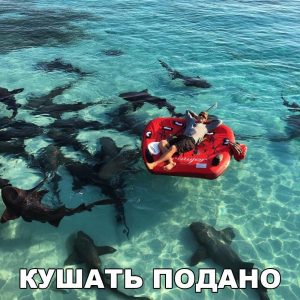 Кушать подано