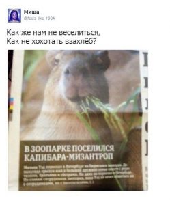 Стихи