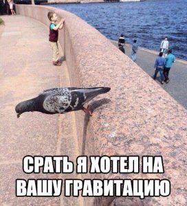 Её не существует