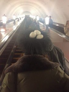 Гнездо