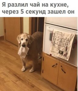 Помошник