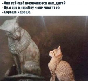 Продолжают править