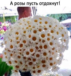 Летний вариант