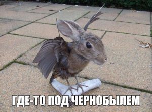 Новый вид