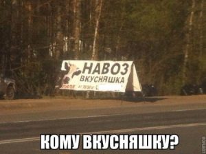 Свежее