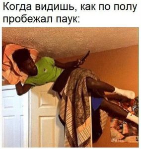 Теперь это дом паука