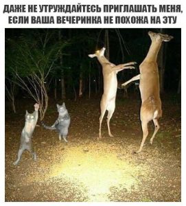 И ни какую другую