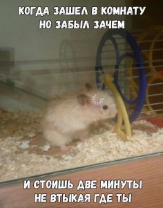 Я в пространстве