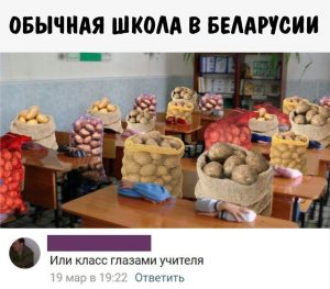 Такие разные