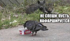 Вкуснее будет