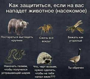 Самооборона