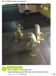 Всех их съели