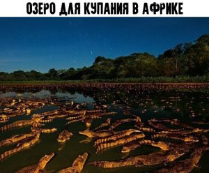 Заходи водичка тёплая