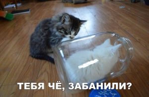 Занял место