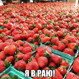 Его ещё собрать надо