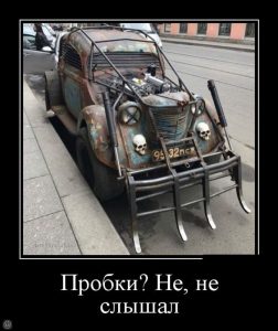 Я их не замечаю
