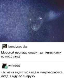 Я жду