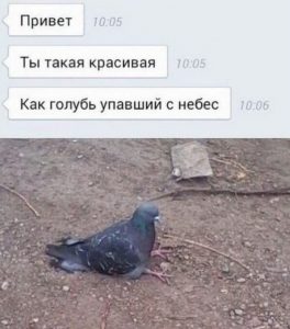 Красота не описуемая