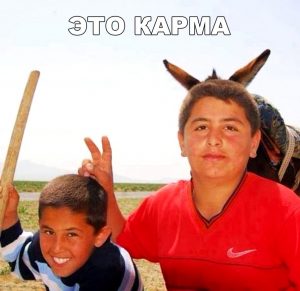 Животные тоже шутят