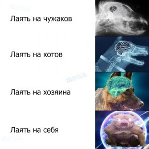 Логика