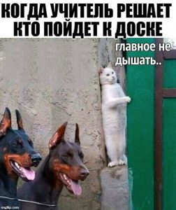 Меня нет