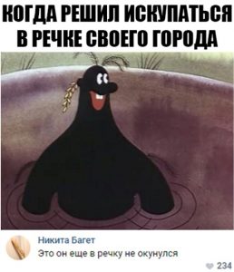 В лужу упал