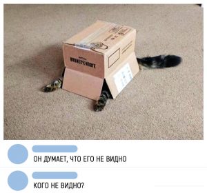Тут никого нет