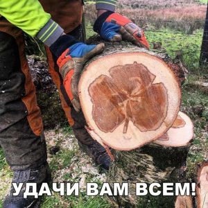 Удача на год
