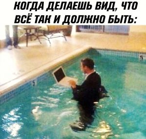 Всё идёт по плану