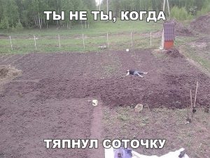 А там ещё две сотки