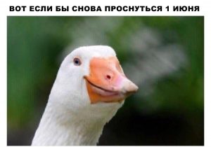И тебе 5 лет