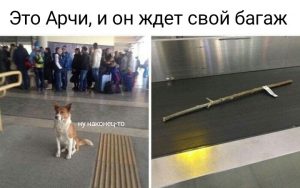 Самая важная вещь