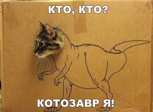 Я охочусь за вами