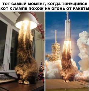 Кот поймал ракету