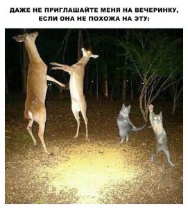 Эту сложно найти