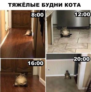 Жизнь полна испытаний