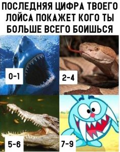 Самые страшные