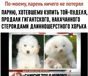 А кто из них кто