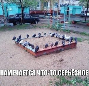 Сбор перед долгим полётом