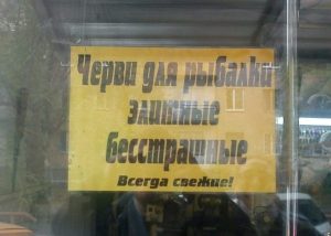 Сами рыбу поймают