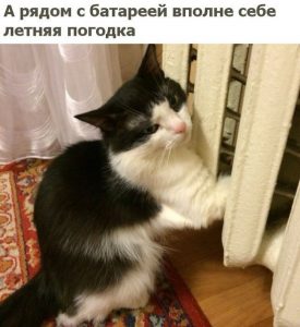 Зима близко